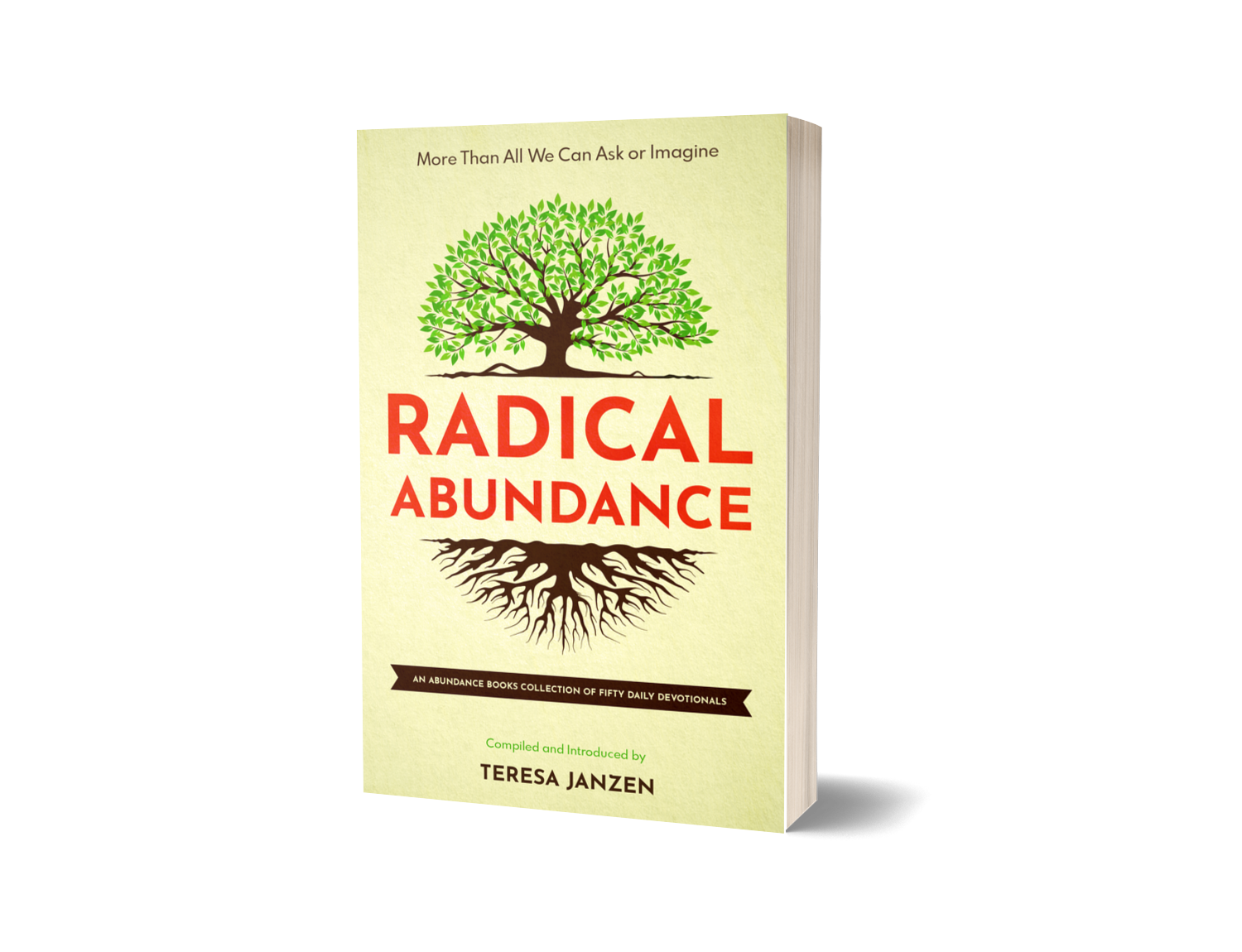 Radical Abundance cover